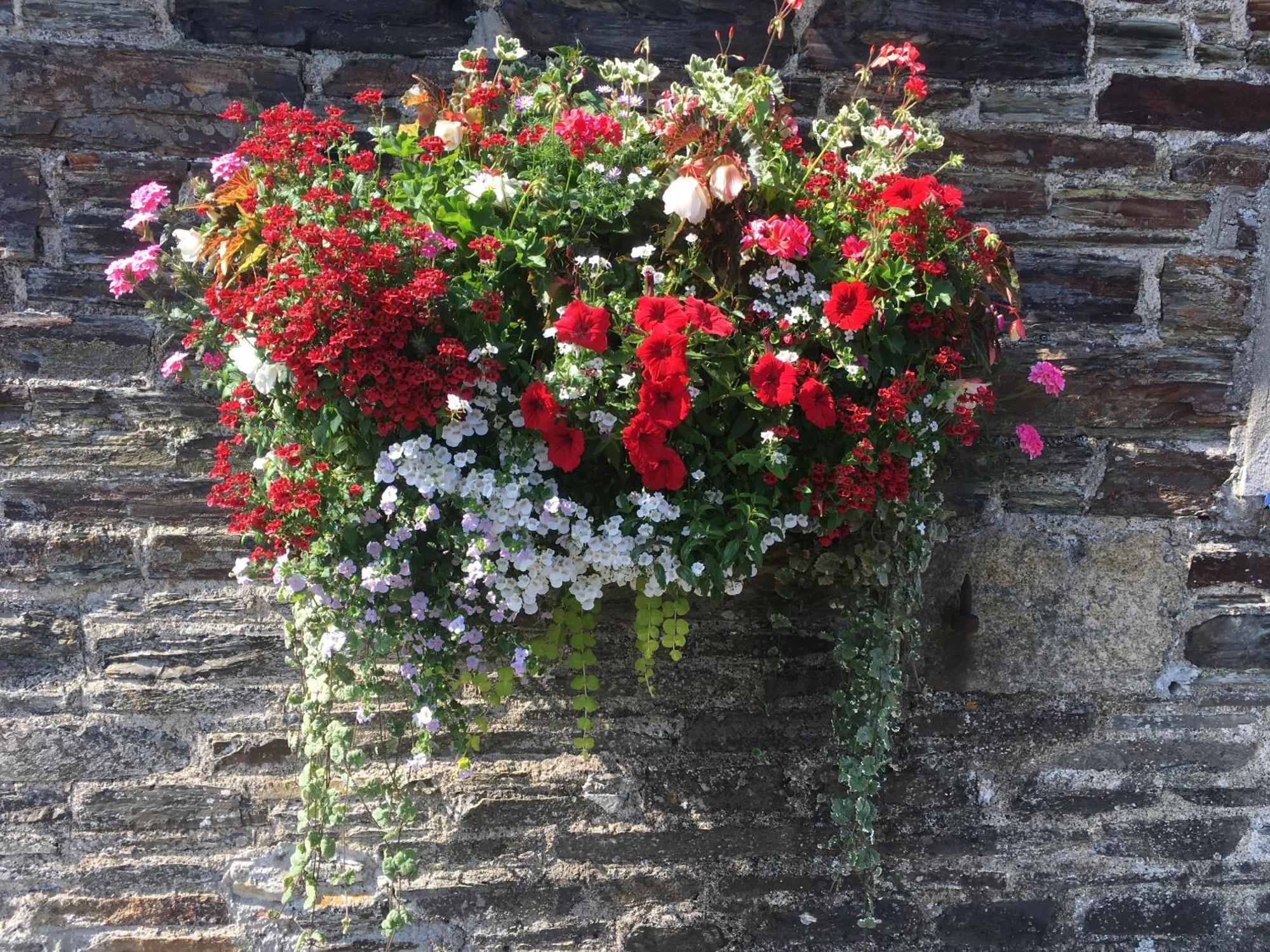 Blue Lion Inn Lewdown Esterno foto